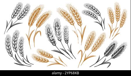 Ears of wheat grain icons set. Organic farm food. Bread, flour, baking symbol collection Stock Vector