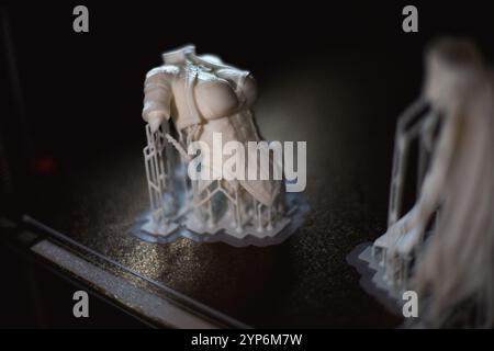 process Printing a model in a 3D printer Stock Photo