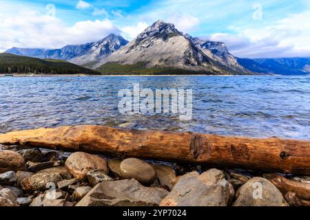 A large log is sitting on a rocky shore next to a body of water. The scene is serene and peaceful, with the log and rocks creating a natural barrier b Stock Photo