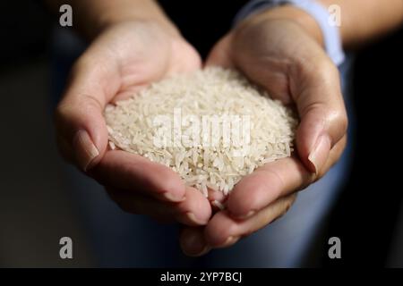 In this photo illustration, close-up of a cook's hands holding a portion of raw white rice Stock Photo