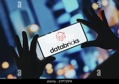 In this photo illustration, the Databricks logo is displayed on a smartphone screen Stock Photo
