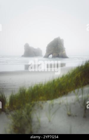 Grassy beach, misty rocks in the background, wild nature, Whakariki Beach, New Zealand, Oceania Stock Photo