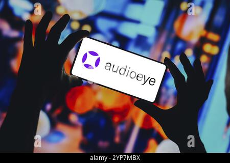 In this photo illustration, the AudioEye logo is seen displayed on a ...