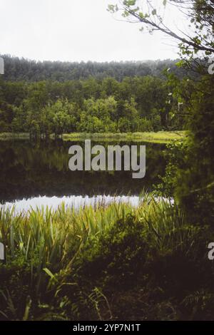 A tranquil lake surrounded by dense forest reflects the landscape, West Coast, New Zealand, Oceania Stock Photo