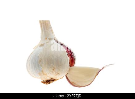 Garlic bulb isolated. Garlic bulb on white background. Unpeeled garlic bulb Stock Photo