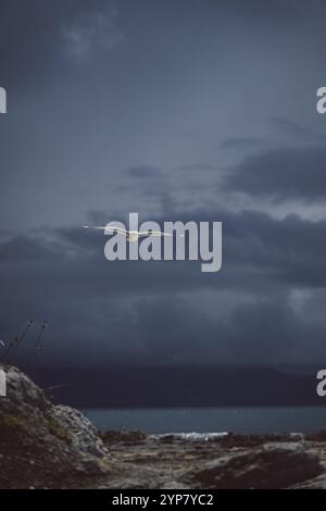 Bird in flight under a stormy night sky over the sea, Kaikoura, New Zealand, Oceania Stock Photo