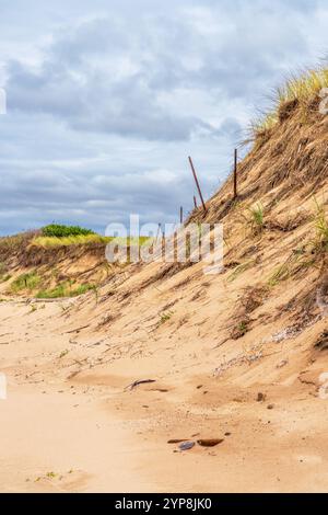 Sand dunes along the beach in Inversness Nova Scotia.  Inverness is a very popular beach with tourists. Stock Photo