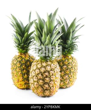 Three fresh ripe pineapples isolated on white Stock Photo