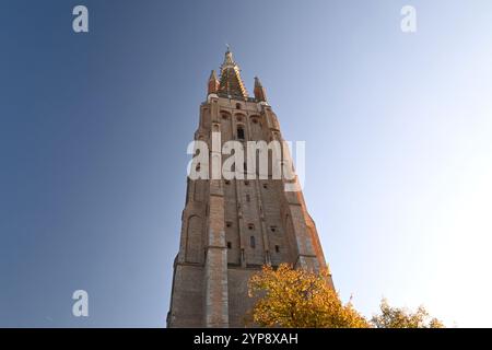 Brickwork Tower of the Church of Our Lady (Onze-Lieve-Vrouwekerk) – Bruges, Belgium – 24 October 2024 Stock Photo