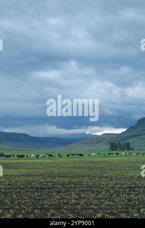 SOUTH AFRICA KwaZulu Natal Kamberg Kamberg Stock Photo - Alamy