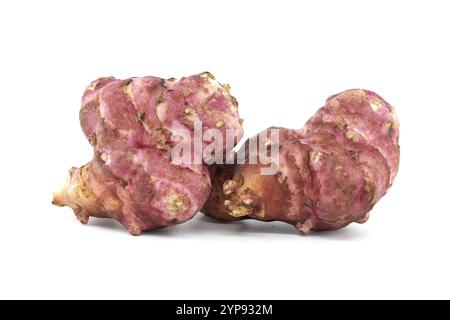 Detailed image of two fresh pink Jerusalem artichokes against a white background. Perfect for culinary, botanical, and healthy eating concepts. Highli Stock Photo