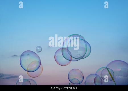 Soap bubbles floating in the air against light blue sky creating magical dreamy pattern with rainbow reflections Stock Photo