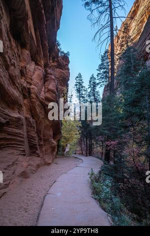 Nestled in the heart of Zion National Park, the path leading to Angel's Landing showcases breathtaking desert landscapes. Stock Photo