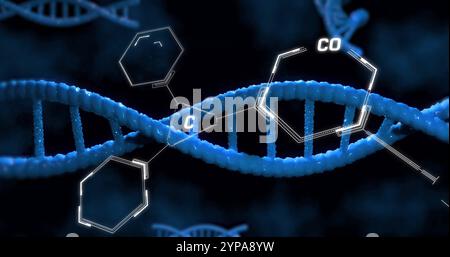 Image of scientific data processing over dna strands spinning Stock Photo