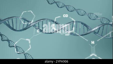 Image of scientific data processing over dna strands spinning Stock Photo