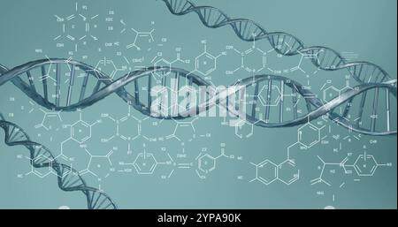 Image of scientific data processing over dna strands spinning Stock Photo