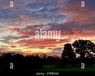 Sunset sky over a line of trees, Womersley, North Yorkshire, UK Stock Photo