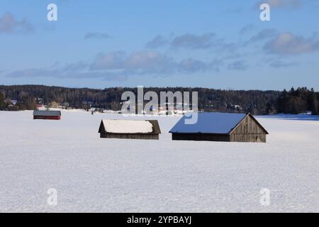 Three wooden barns in snow covered field on a sunny day of winter. Stock Photo