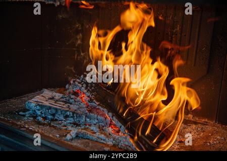 Wood Burning in the Fireplace Stock Photo