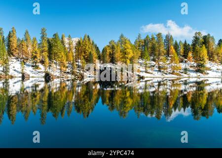 The vibrant orange leaves of the autumn forest create a stunning reflection in the calm waters of Lago Federa, capturing the essence of fall’s beauty Stock Photo