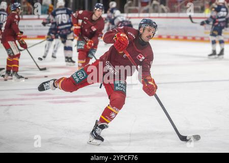 29.11.2024, Eishockey: Penny DEL, Saison 2024/2025, 21. Spieltag, Duesseldorfer EG - Iserlohn Roosters im PSD Bank Dome in Duesseldorf. Brendan O Donnell (Duesseldorfer EG, #21) kurz vor dem Schuss. Foto: Kirchner-Media/TH Stock Photo