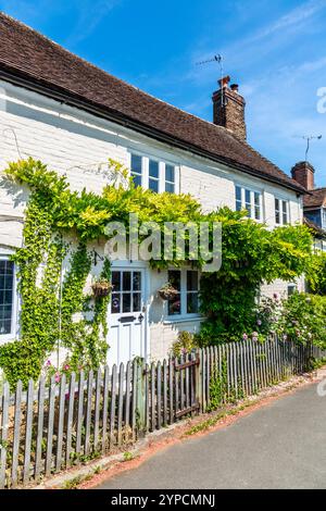 White cottage covered with ivy in Wendover, Buckinghamshire, England Stock Photo