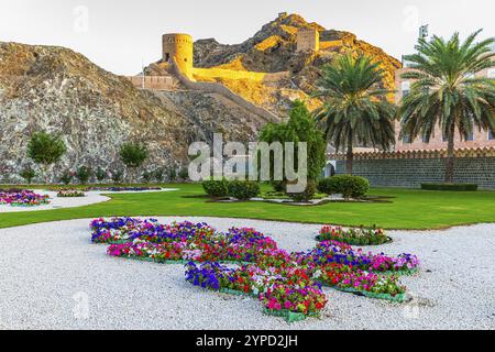 Park with gravel paths, flowers and palm trees at the Sultan's Palace, behind the city wall with watchtowers illuminated by the evening sun, Muscat, A Stock Photo