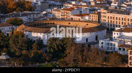 The Plaza de Toros de Ronda, a historic bullring in Ronda, Spain, is surrounded by whitewashed and modern buildings under a golden sunset glow. Stock Photo