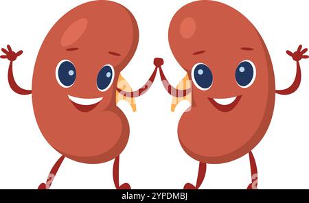 Two cheerful kidney characters promoting health and wellness by holding hands and waving, engaging viewers in learning about renal function and disease prevention Stock Vector