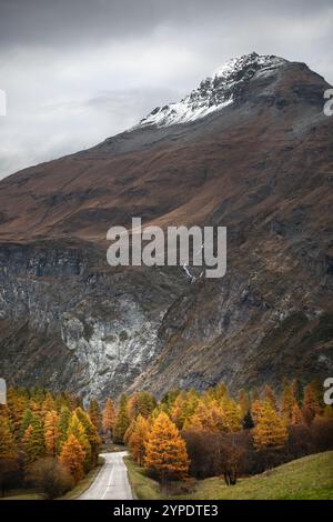 Landscape photography of a straight road with a snow-capped mountain in the background in the French Alps, autumn coloured larch trees, vertical Stock Photo