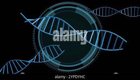 DNA strands and circular digital interface, scientific data processing image Stock Photo
