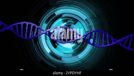 DNA strand spinning over futuristic digital interface image Stock Photo