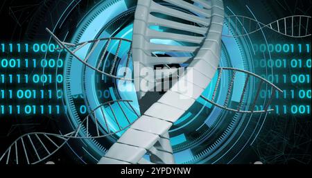 DNA strand and binary coding, scientific data processing image Stock Photo