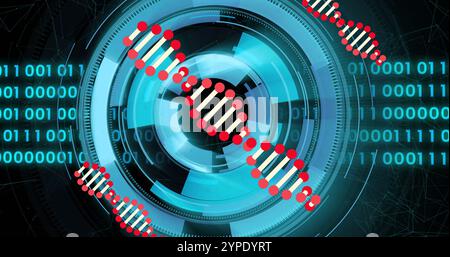 DNA strand and binary coding over futuristic digital interface image Stock Photo