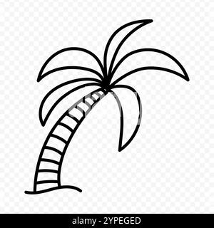 Vector illustration of hand drawn palm tree doodle on transparent background Stock Vector