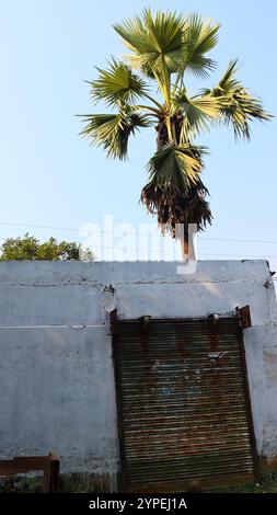 Old Rusty Metal Roll-Up Door In An Urban Setting Outdoors Stock Photo