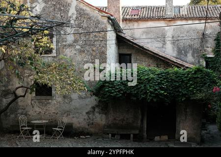 Old stone house facade with vintage table and chairs in front. Ivy-covered entrance of the old stone house in Grožnjan, Istria. Stock Photo