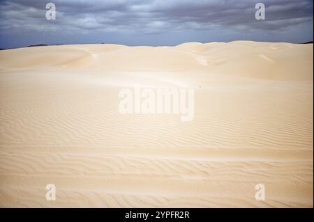 Quad tracks and dunes in Deserto de Viana, Boa Vista, Cape Verde Stock Photo