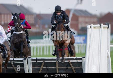 Newbury, United Kingdom. Saturday 30th November 2024. The New Lion and Harry Skelton win the Coral 'We're Here For It' Novices Hurdle for trainer Dan Skelton and owners Darren & Annaley Yates. Credit JTW Equine Images / Alamy Live News Stock Photo