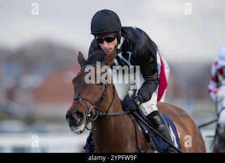 Newbury, United Kingdom. Saturday 30th November 2024. The New Lion and Harry Skelton win the Coral 'We're Here For It' Novices Hurdle for trainer Dan Skelton and owners Darren & Annaley Yates. Credit JTW Equine Images / Alamy Live News Stock Photo