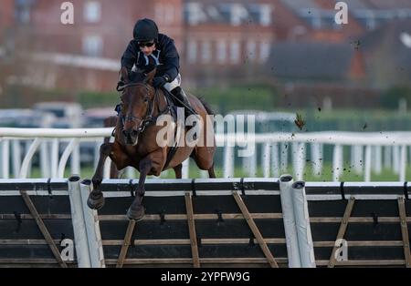 Newbury, United Kingdom. Saturday 30th November 2024. The New Lion and Harry Skelton win the Coral 'We're Here For It' Novices Hurdle for trainer Dan Skelton and owners Darren & Annaley Yates. Credit JTW Equine Images / Alamy Live News Stock Photo