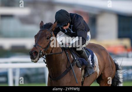 Newbury, United Kingdom. Saturday 30th November 2024. The New Lion and Harry Skelton win the Coral 'We're Here For It' Novices Hurdle for trainer Dan Skelton and owners Darren & Annaley Yates. Credit JTW Equine Images / Alamy Live News Stock Photo