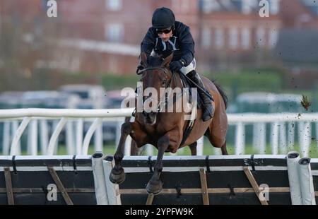 Newbury, United Kingdom. Saturday 30th November 2024. The New Lion and Harry Skelton win the Coral 'We're Here For It' Novices Hurdle for trainer Dan Skelton and owners Darren & Annaley Yates. Credit JTW Equine Images / Alamy Live News Stock Photo