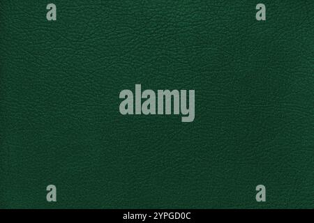 Natural, genuine solid green leather texture close up, macro. Structure of matte leatherette, artifical skin surface with embossing pattern. Backgroun Stock Photo