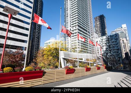 Canadian and Ontario flags in a garden by the CN Tower on Bremner Boulevard in downtown Toronto, Ontario, Canada Stock Photo