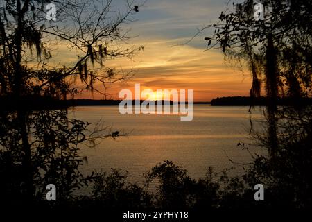 Colorful sunset over water with tree silhouette Stock Photo