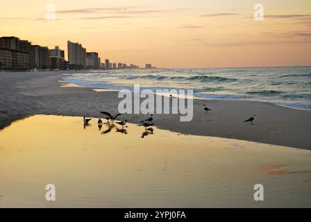 Colorful sunset over beach with birds in water reflection Stock Photo