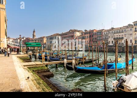 Venice, Italy - February 5, 2024: Architecture of Venice, palaces and beautiful houses along the Grand Canal. Many gondolas are parked in foreground, Stock Photo