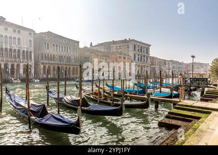 Venice, Italy - February 5, 2024: Architecture of Venice, palaces and beautiful houses along the Grand Canal. Many gondolas are parked in foreground, Stock Photo