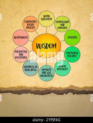 Wisdom, a deep understanding and insight that goes beyond knowledge or intelligence, diagram infographics. Stock Photo